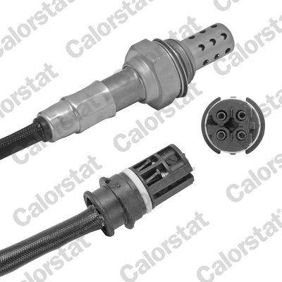 Oxygen Sensor